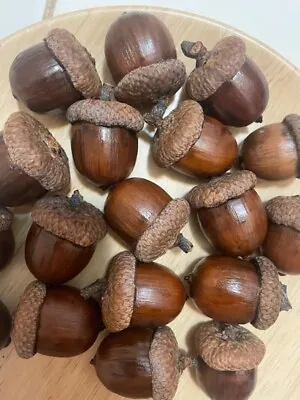 25 Real Acorns For Decorations With Caps Heat Treated Clear Coated • $21.95