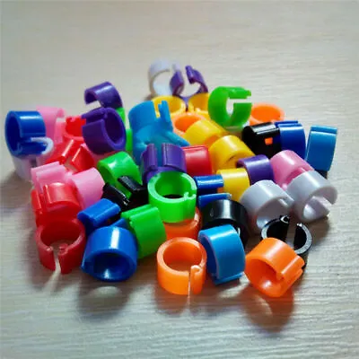 £3.86 • Buy 100PCS Bird Rings Leg Bands For Dove Chicken Parrot Pigeon Poultry Clip Rings 8m