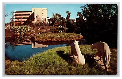 Los Angeles CA La Brea Tar Pits Hancock Park Wilshire District Postcard • $5.90