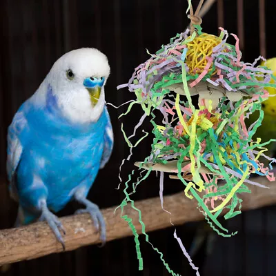  Bite-resisting Cockatiel Toy Parrot Chew Bird Toys For Cage Budgie Accessories • £6.29