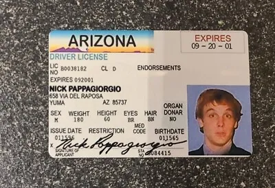 Nick Pappagiorgio Vegas Vacation Novelty ID License • $6.50