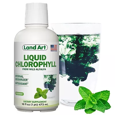 Liquid Chlorophyll Mint Flavored – Cold Extracted From Wild Non-GMO Alfalf • $44.41