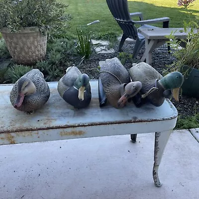 Mallard Duck Decoys For Sale. All 4 Together • $24