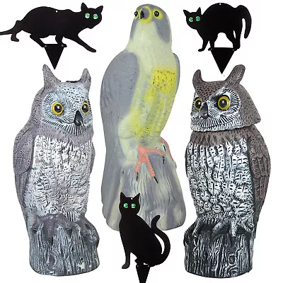 Large Owl Falcon Cat Decoy Prey Bird Repellent Garden Pest Control Deterrent • £99.45