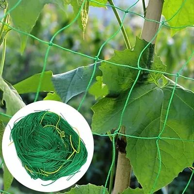 Plant Support Mesh Garden Net Fruit Vegetables Climbing Netting Pea Bean Trellis • £4.29