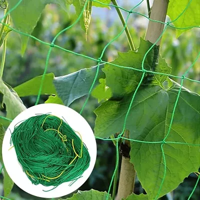 £4.55 • Buy Plant Support Mesh Garden Net Vegetable Fruit Climbing .Netting Pea Bean Trellis