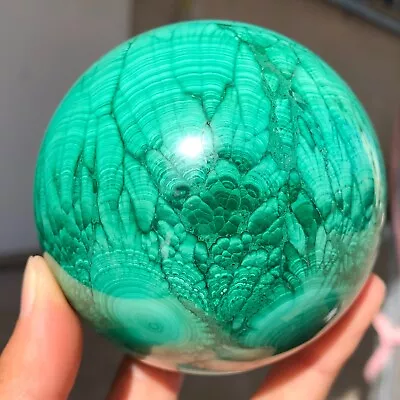 1097g Top Natural Malachite Quartz Crystal Sphere Gemstone Reiki Healing P617 • $0.64