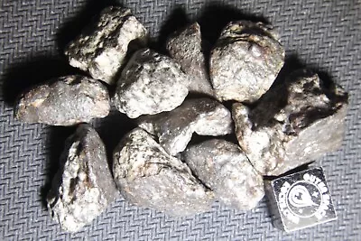 NWA 869 L3-6 Chondrite Meteorite 38.7 Gram Lot • $1.25