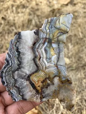 Crazy Lace Agate Slab (Mexico) • $15