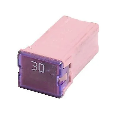 30 AMP PAL Slow Blow Fuse Push Fit Fuse NEW!! Japanese Type J Case Series • $3.90