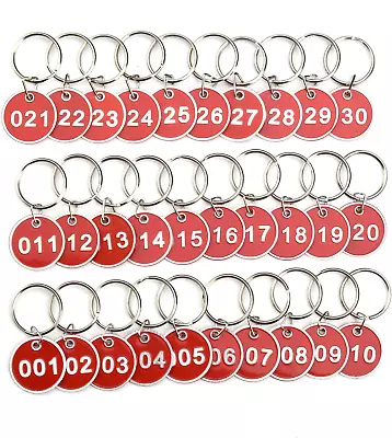 Numbered Tags Metal Key Ring For Organizing And Sorting • $18.46