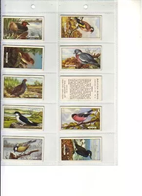 Gallaher BRITISH BIRDS Full Set 48/48x Cards VG/Good 1937 • £6.99