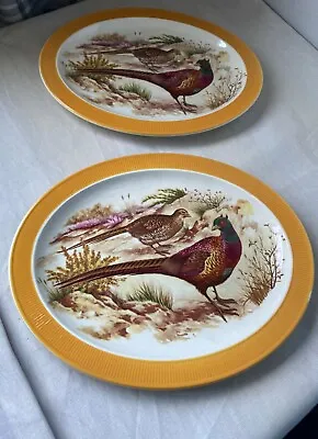 £12 • Buy Pair Of Barratts Staffordshire Oval Plates Pheasants