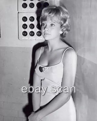 Hayley Mills   Candid   8x10 Photo  66 • $14.99