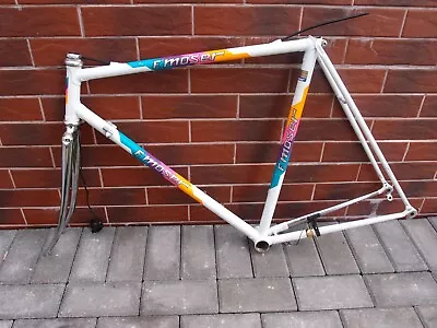 Vintage Road Bike Frame Set F.Moser Corsa Gipiemme Made In Italy Shimano 600 • $299