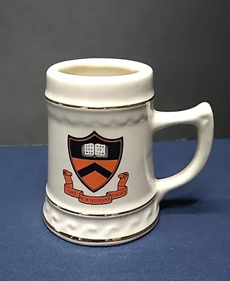 Princeton Mini Beer Stein Mug Gold Trim Vintage Crest • $10.50