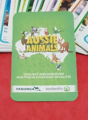 Woolworths Aussie Animals / Taronga Bulk Lot • $1.95