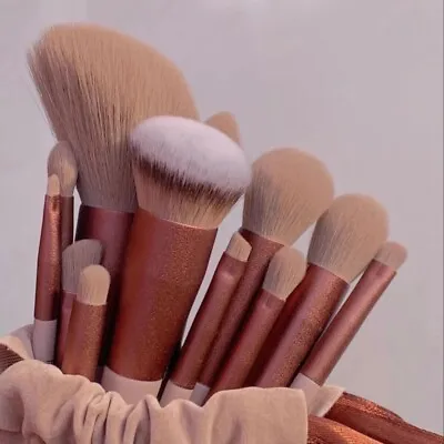 $12.34 • Buy 13Pcs Professional Makeup Brush Set Eyeshadow Powder Foundation Contour Brushes