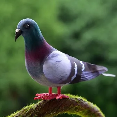 £2.99 • Buy Decoration Imitation Animal Simulation Grey Pigeon Artificial Birds Dove Model