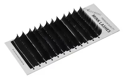 C Curl - Eyelash Extensions Alluring Mink Lashes - Mixed Size Multiple Lengths • $10.99