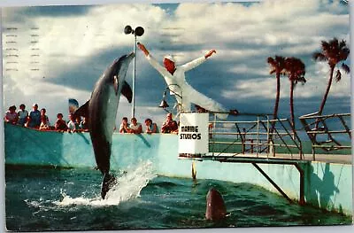 Postcard FL Marineland - Jumping Porpoise • $3.99