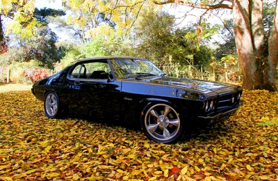 $2165 • Buy SHOWWHEELS 18x8 18x9 Wheel And Tyre HOLDEN HQ HJ WB HX HZ 1 Tonner PACKAGE