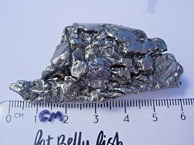 56.6 Grams NEW CAMPO DEL CIELO METEORITE Polished + Certificate Of Authenticity • $45.99