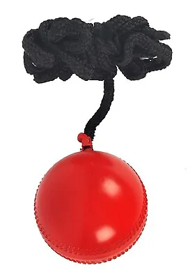 SG Iball Synthetic Hanging Ball Adult (Red) Standard Size2 Balls + Free Ship • $39.99