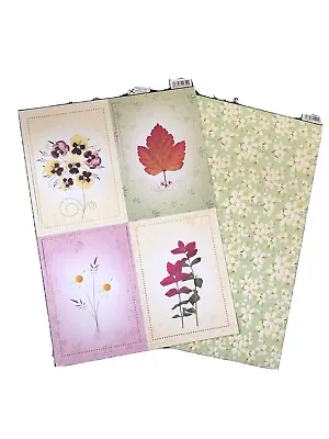 £0.99 • Buy Kanban Pressed Flowers - Natural Beauty Topper & Card Set