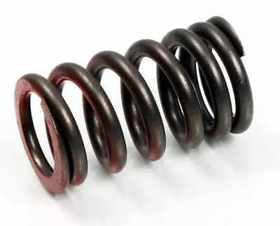 Psychic Exhaust/Intake Valve Spring For Yamaha/Gas Gas WR450F/YZ450F/EC 450F • $10.91