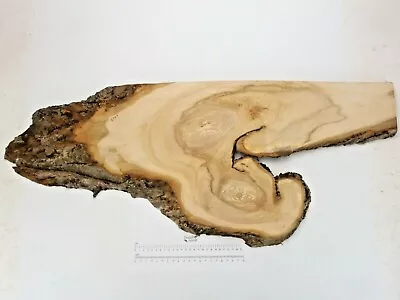 Waney Edge English Lime Wood Board. Plank Slab Shelf.  420 X 980 X 20mm. 6707 • £64.95