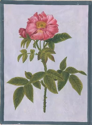 Mughal Floral Miniature Painting Moghul Indian Handmade Nature Lotus Flower Art • $79.99