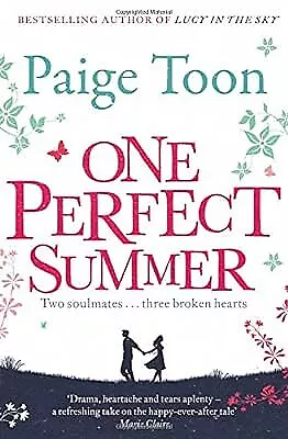 One Perfect Summer Toon Paige Used; Good Book • £2.98