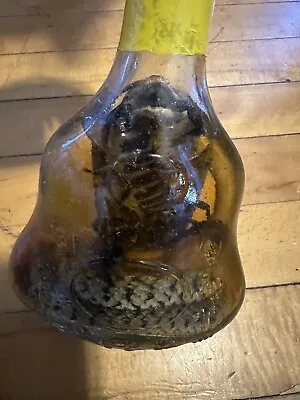 Real Cobra Snake And A Scorpion In A Large X O Glass Bottle 7  Tall • $129.99