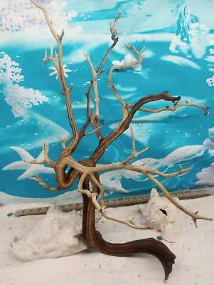  Manzanita Driftwood Premium Aquarium Wood Aquascape Decor Reptiles Bird Perch • $44.50