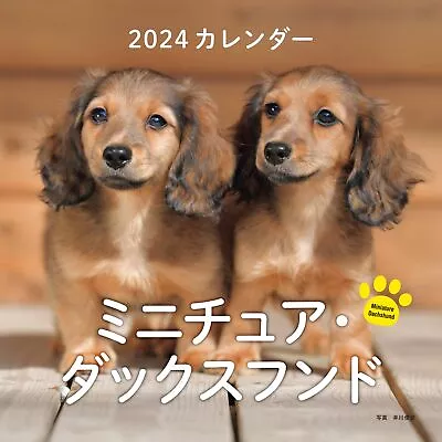 2024 Calendar Miniature Dachshund (Seibundo Shinkosha Calendar) • £29.81