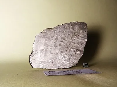 Meteorite Iron MUONIONALUSTA Etched COMPLETE Slice 405 G • $599