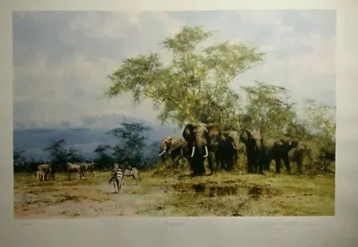 Amboseli David Shepherd Silkscreen Very Rare Item No 2/350 Elephants Kilimanjaro • £1200