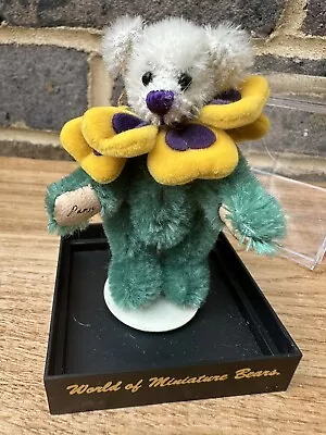 World Of Miniature Bears  Pansy  Mini Bear With Flower Collar • £10