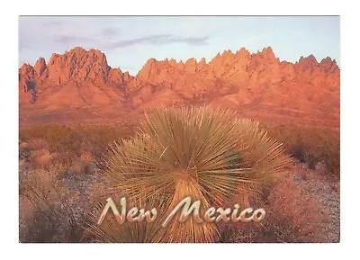 Organ Mountains New Mexico Unused 4X6 Postcard EB81 • $1