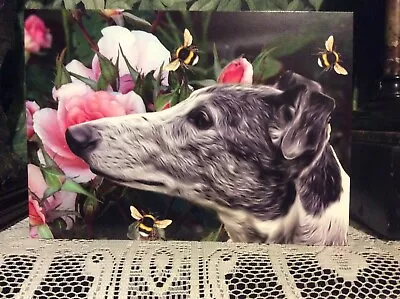 £2.65 • Buy Greyhound , Lurcher, Sighthound , Whippet, Dog Greetings Card