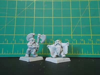 Warhammer Fantasy Dwarf Troll Slayer/flasher Unreleased Metal • $160.31