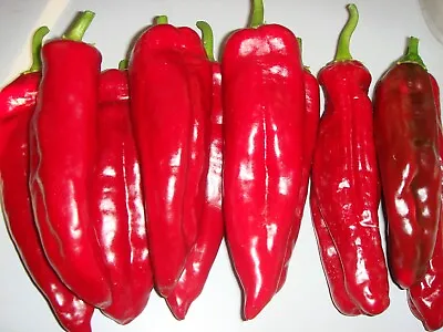 30 Sweet Red Marconi Pepper Seeds Organic & Heirloom-great For Container Growing • $1.99