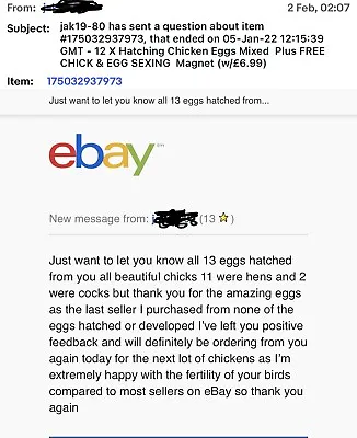 £8.99 • Buy 6 Fertile Hatching Chicken Eggs Mixed Breeds Maran Cream Legbar Olive Egger Etc.