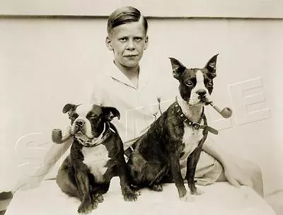 Boy Antique Boston Terrier Dog Pipe Vintage 1933 Canine Photo *canvas* Art Print • $29.60