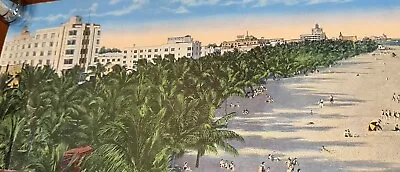 Lummus Park Old Miami Beach Florida Large Panoramic Lithograph Early Photo • $15