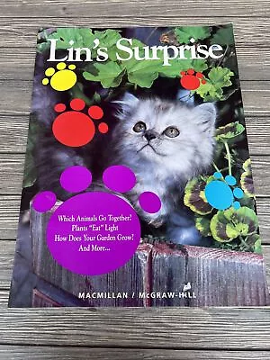 Lin’s Surprise By Macmillan McGraw Hill Big Book Teacher 22” X 17” • $17.99