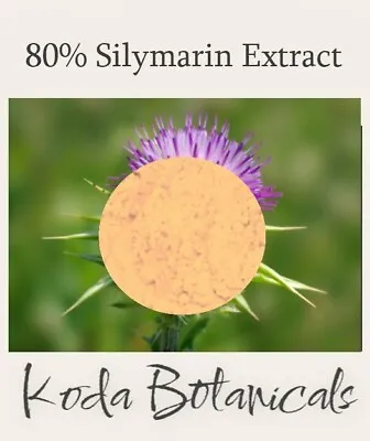 MILK THISTLE SEED 80% Silymarin EXTRACT POWDER 30g Silybum Marianum • £21.10