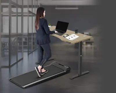 $1576.68 • Buy Lifespan Fitness Walkingpad M2 Treadmill With Dual Motor Automatic Standing Desk