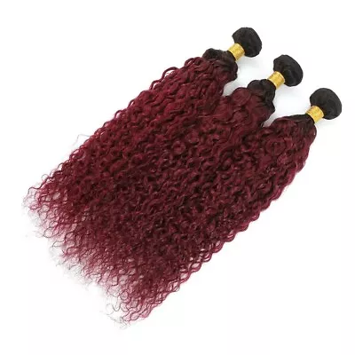 99J Burgundy Curly Wave Human Hair Bundles Extensions Weft Remy Hair Brazilian • $22.19